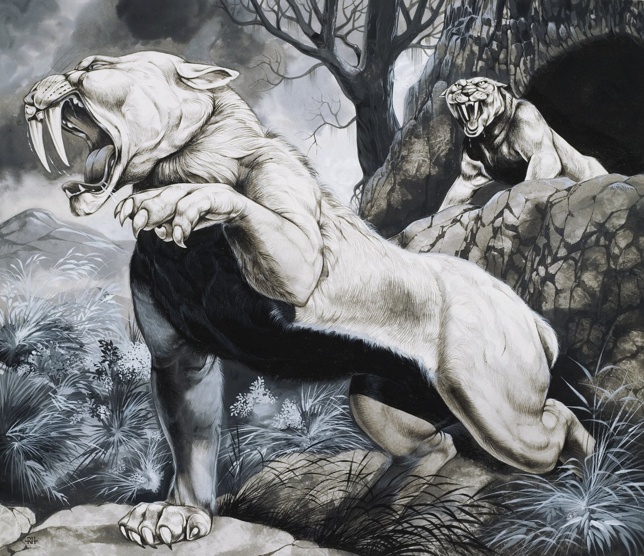 Säbelzahn-Tiger von Richard Hook