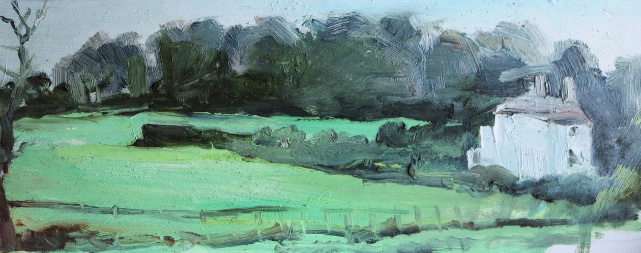 Caldy House und Hecke von Rob D Davies