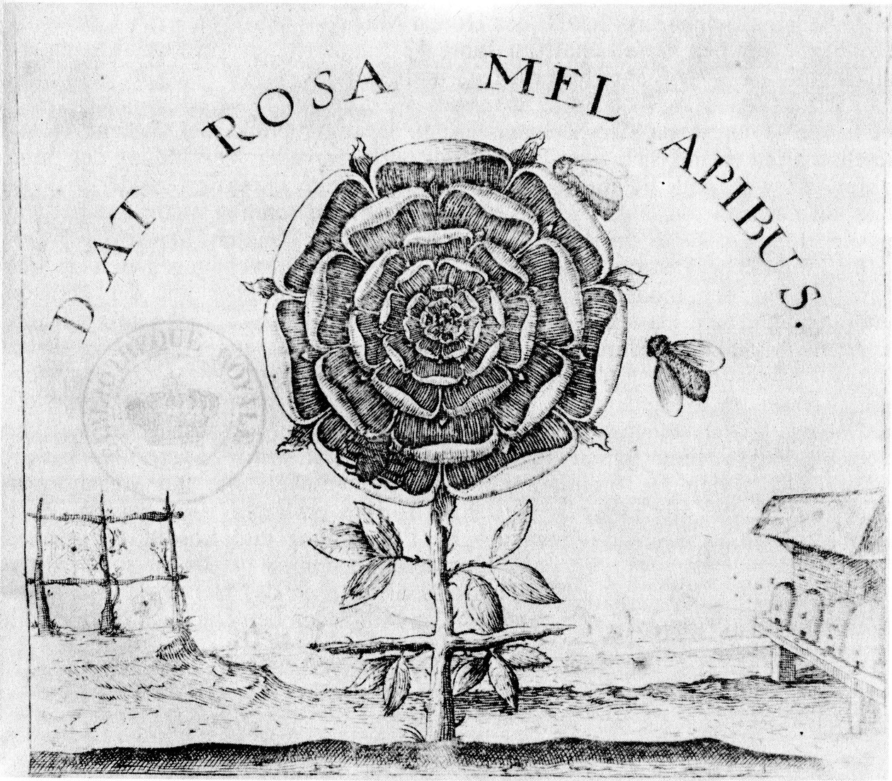 Seite von Summum Bonum von Robert Fludd