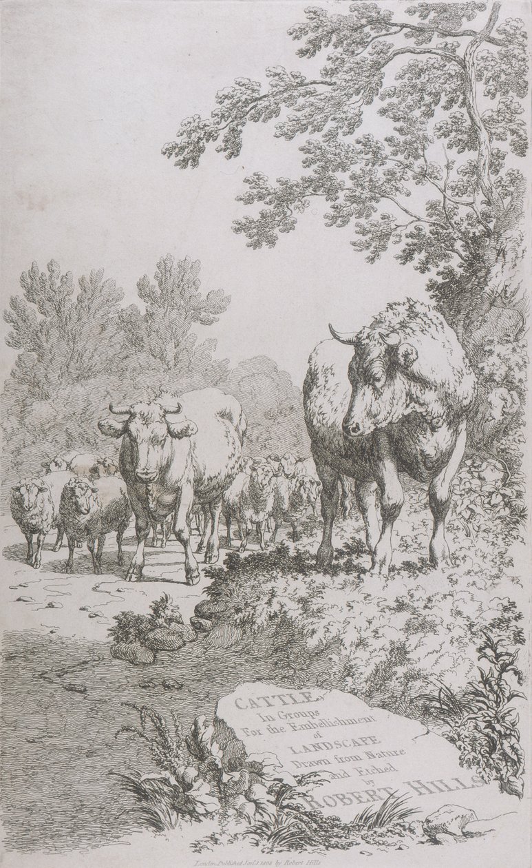 Titelseite für Cattle in Groups for the embellishment of Landscape..., 1808 von Robert Hills