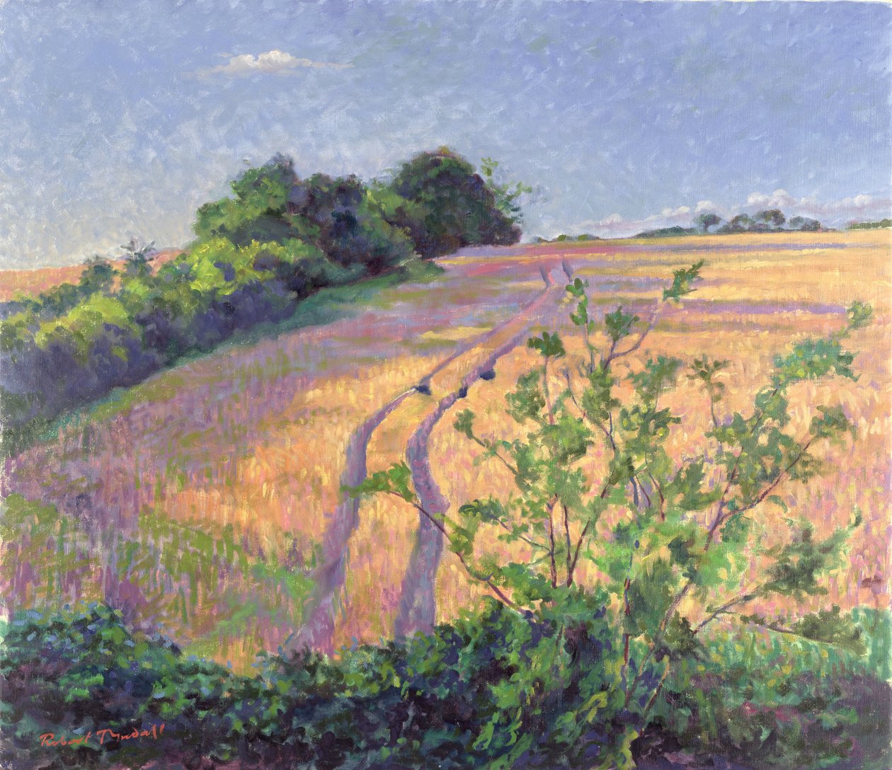 Goldener Sommer von Robert Tyndall