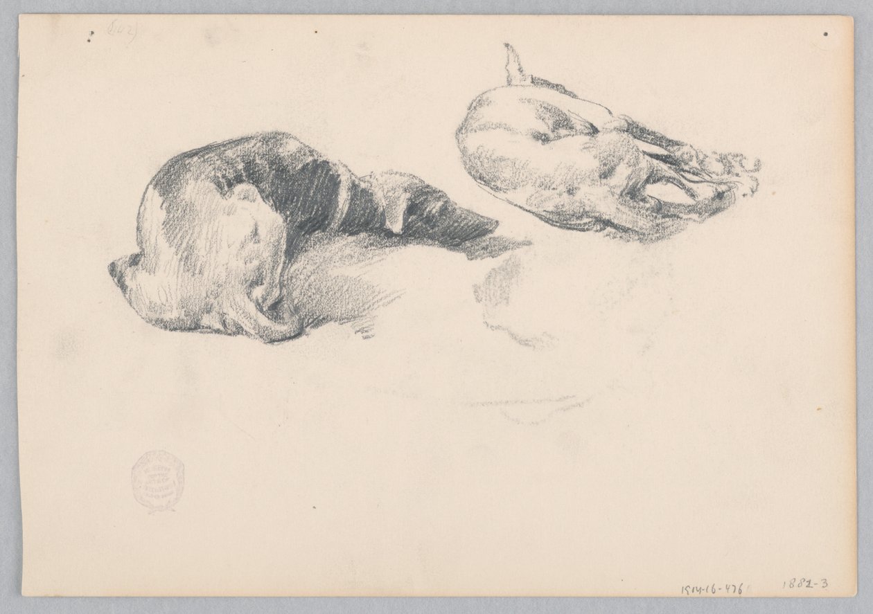 Hunde von Robert Frederick Blum