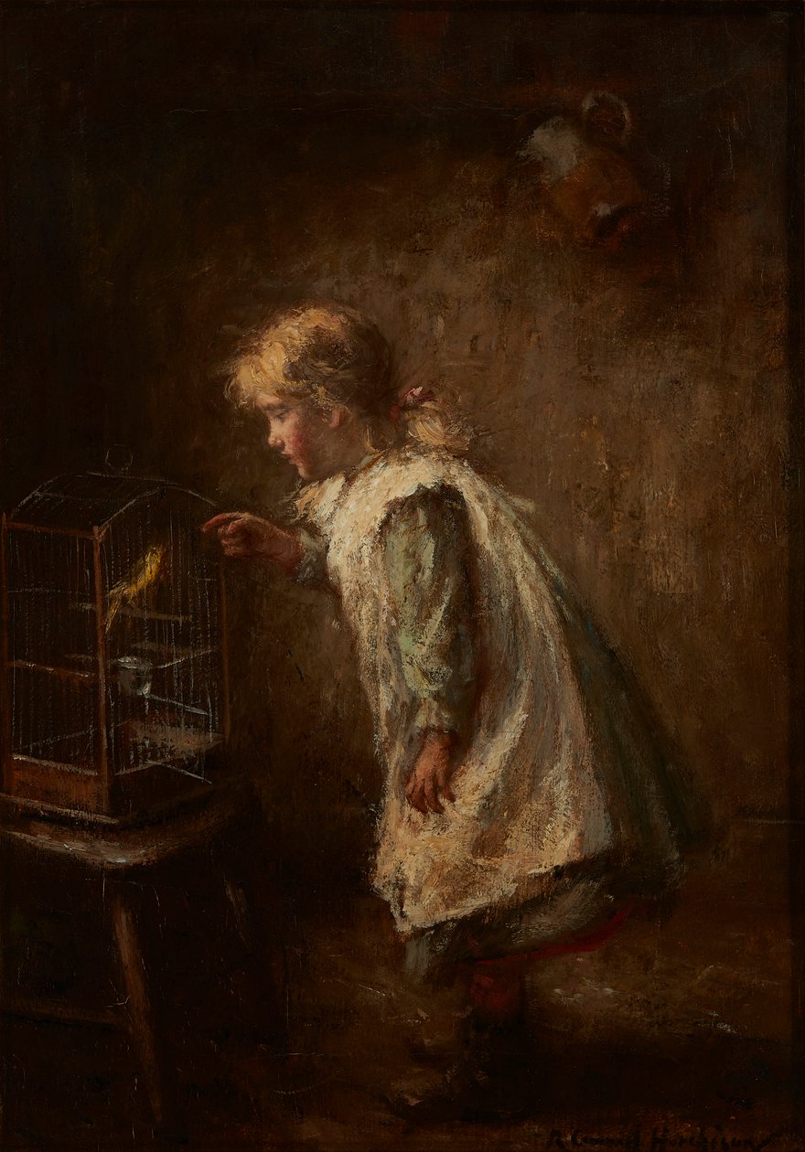 Der Haustierkanarienvogel (Öl auf Leinwand) von Robert Gemmell Hutchison