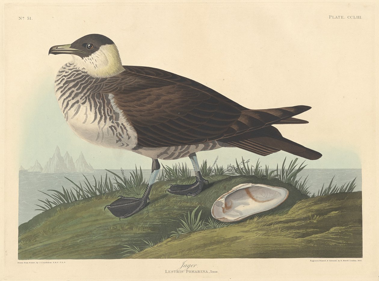 Jäger, 1835 von Robert Havell