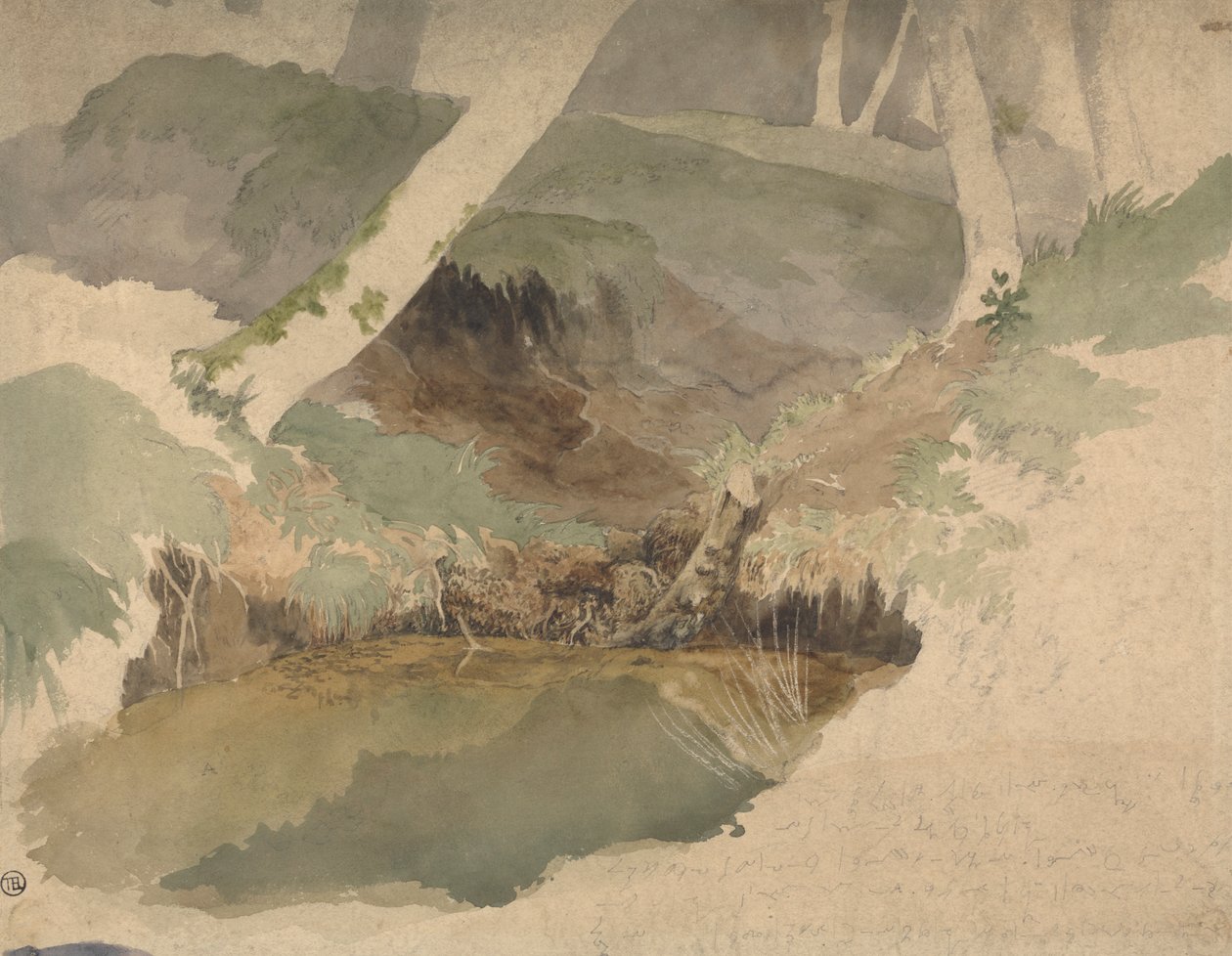 Waldteich von Robert Hills