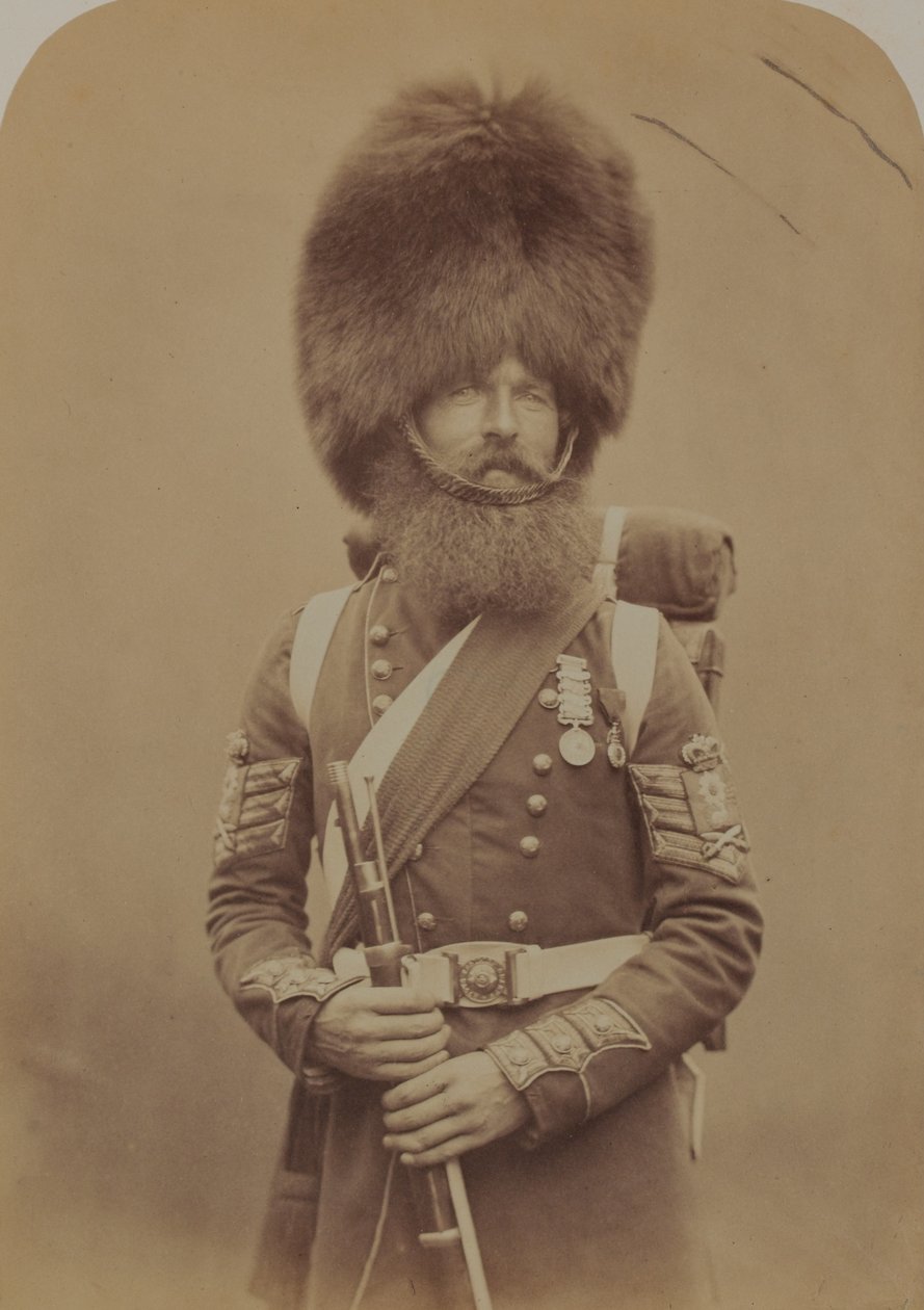 Farbsergeant Macgregor, Scotch Fusiliers Guards von Robert Howlett