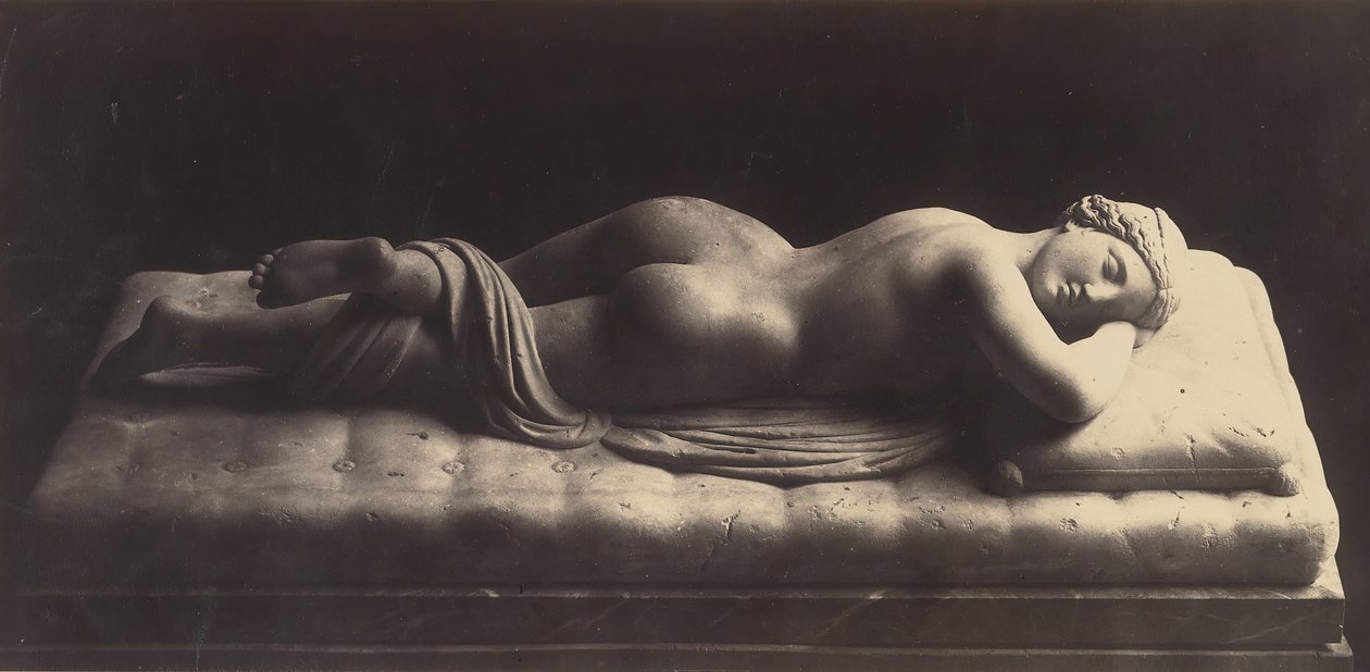 Der Hermaphrodit von Robert MacPherson