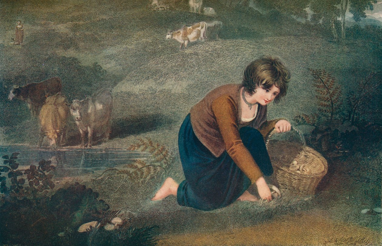 Ein Mädchen sammelt Pilze, 1800, 1917 von Robert Mitchell Meadows