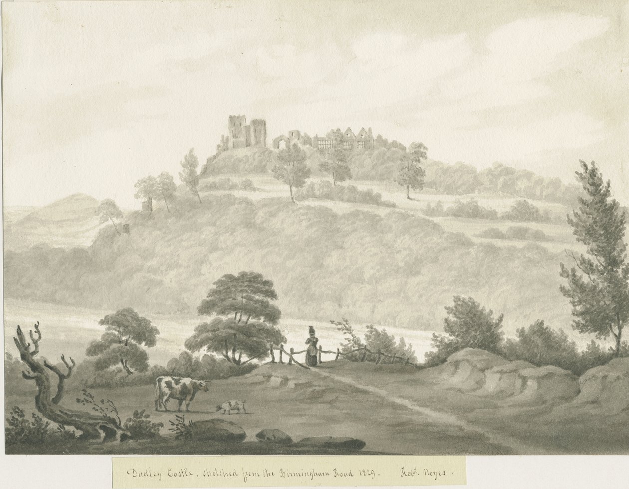 Dudley Castle von Robert Noyes