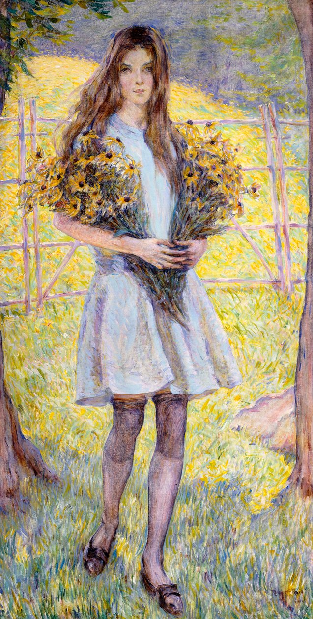 Schwarzäugige Susans von Robert Reid
