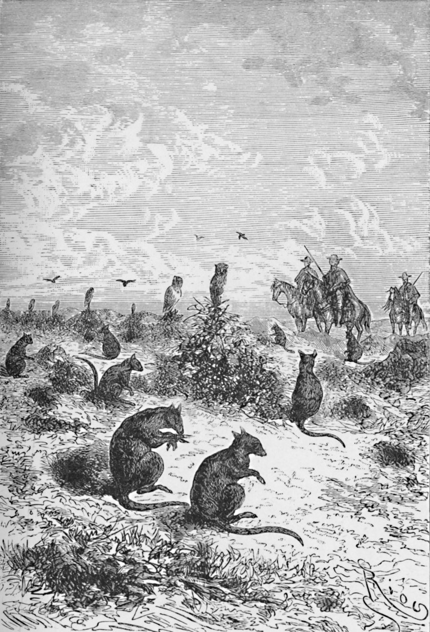 Bizcachas, ca. 1885, 1890 von Robert Taylor Pritchett