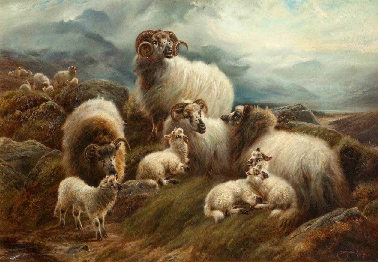 Schafe in einer Landschaft, 1894 von Robert Watson