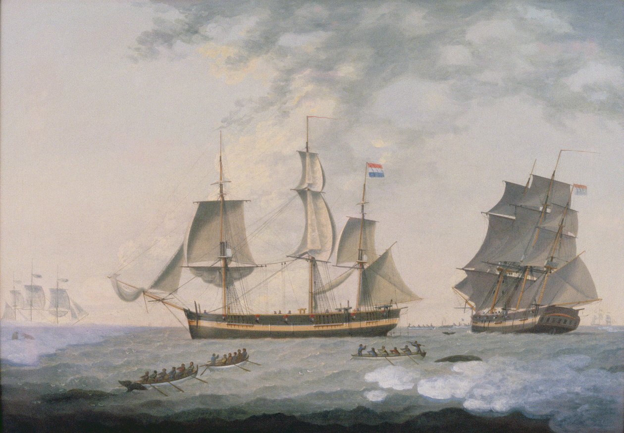 Walfang in der Arktis von Robert Willoughby
