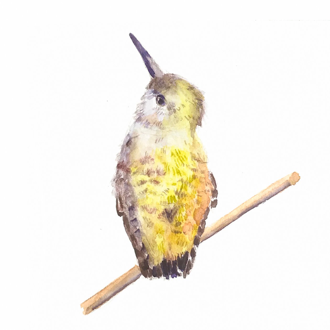 Annas Jungvogel von Roberta Murray