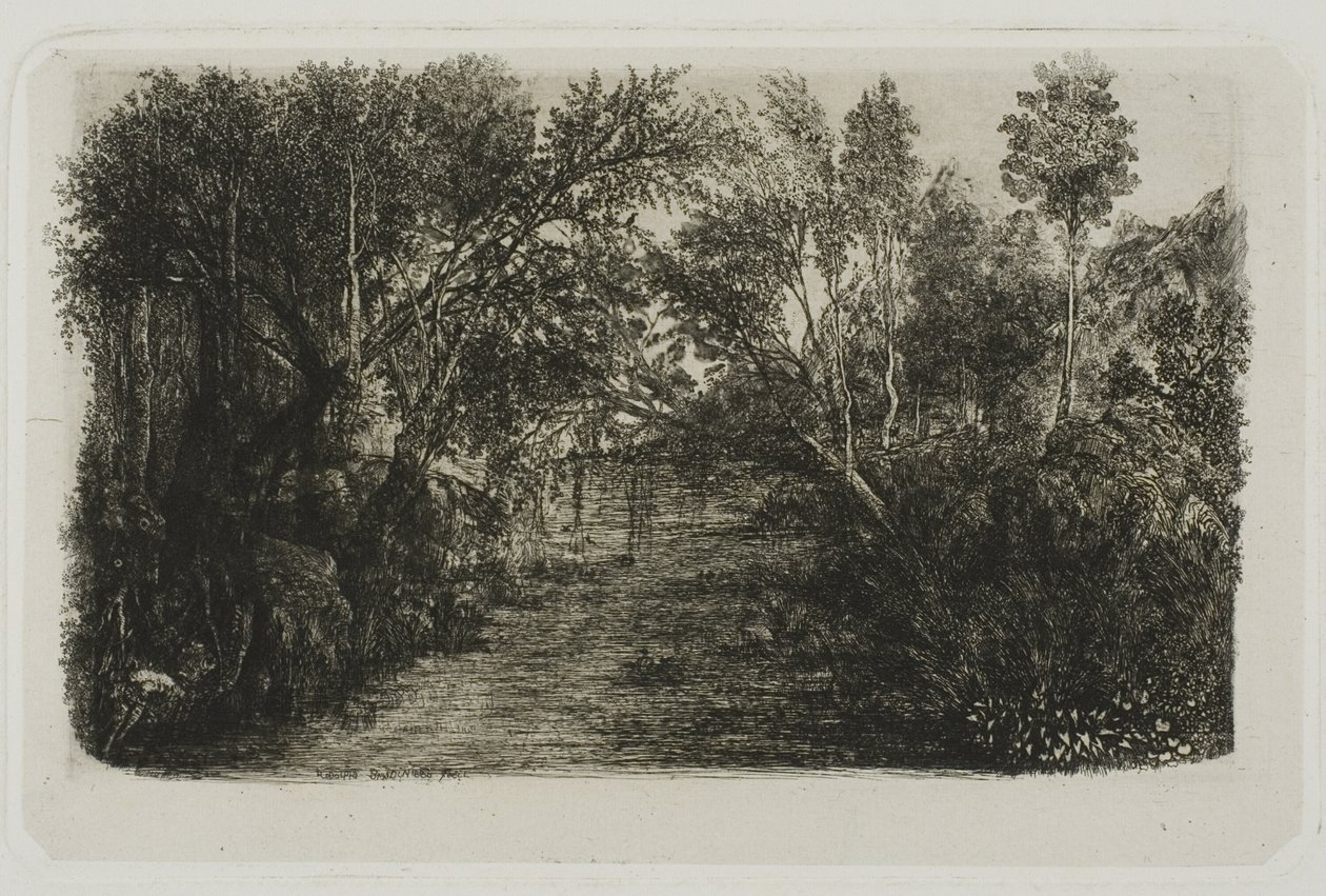 Der Bach von Rodolphe Bresdin