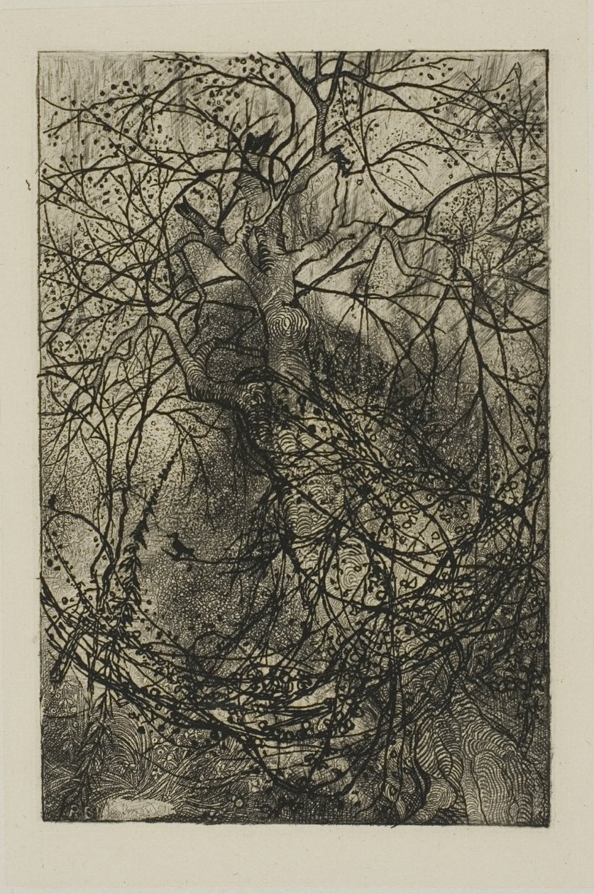 Baumzweige von Rodolphe Bresdin