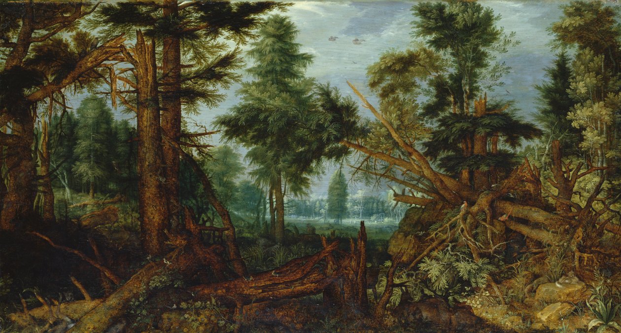 Wälder nach dem Sturm von Roelandt Jacobsz. Savery