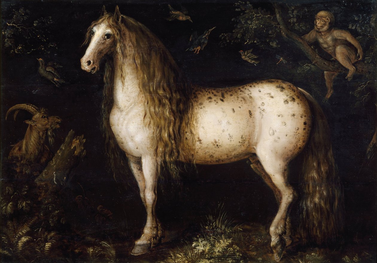 Der Apfelschimmel, ca. 1625-1630 von Roelant Savery
