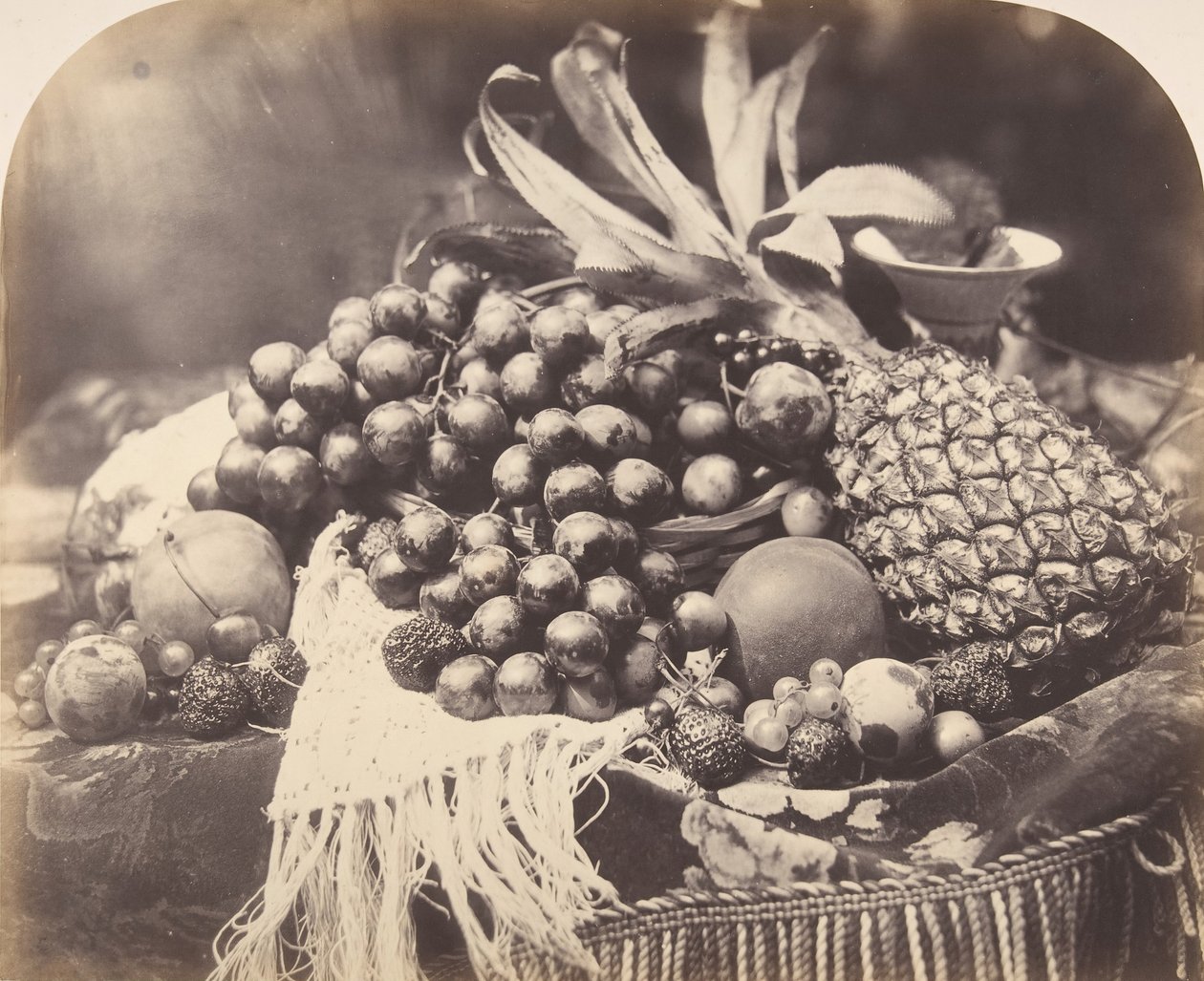 Stillleben mit Früchten, 1860 von Roger Fenton