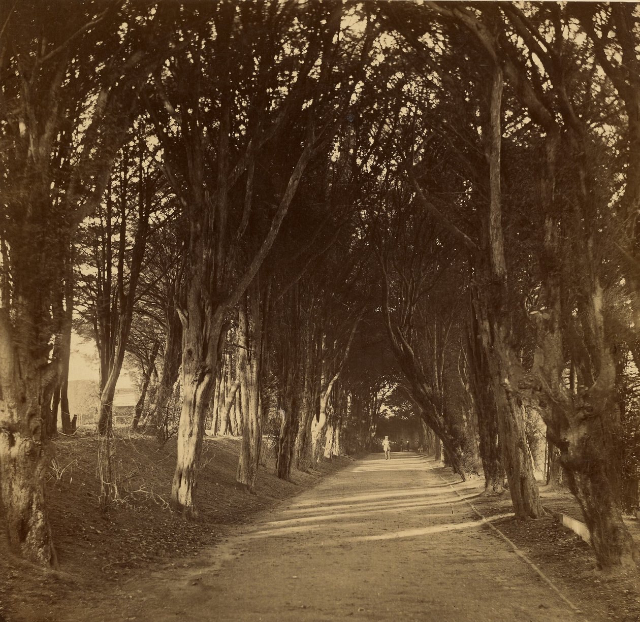Der Dunkle Weg; Stonyhurst von Roger Fenton