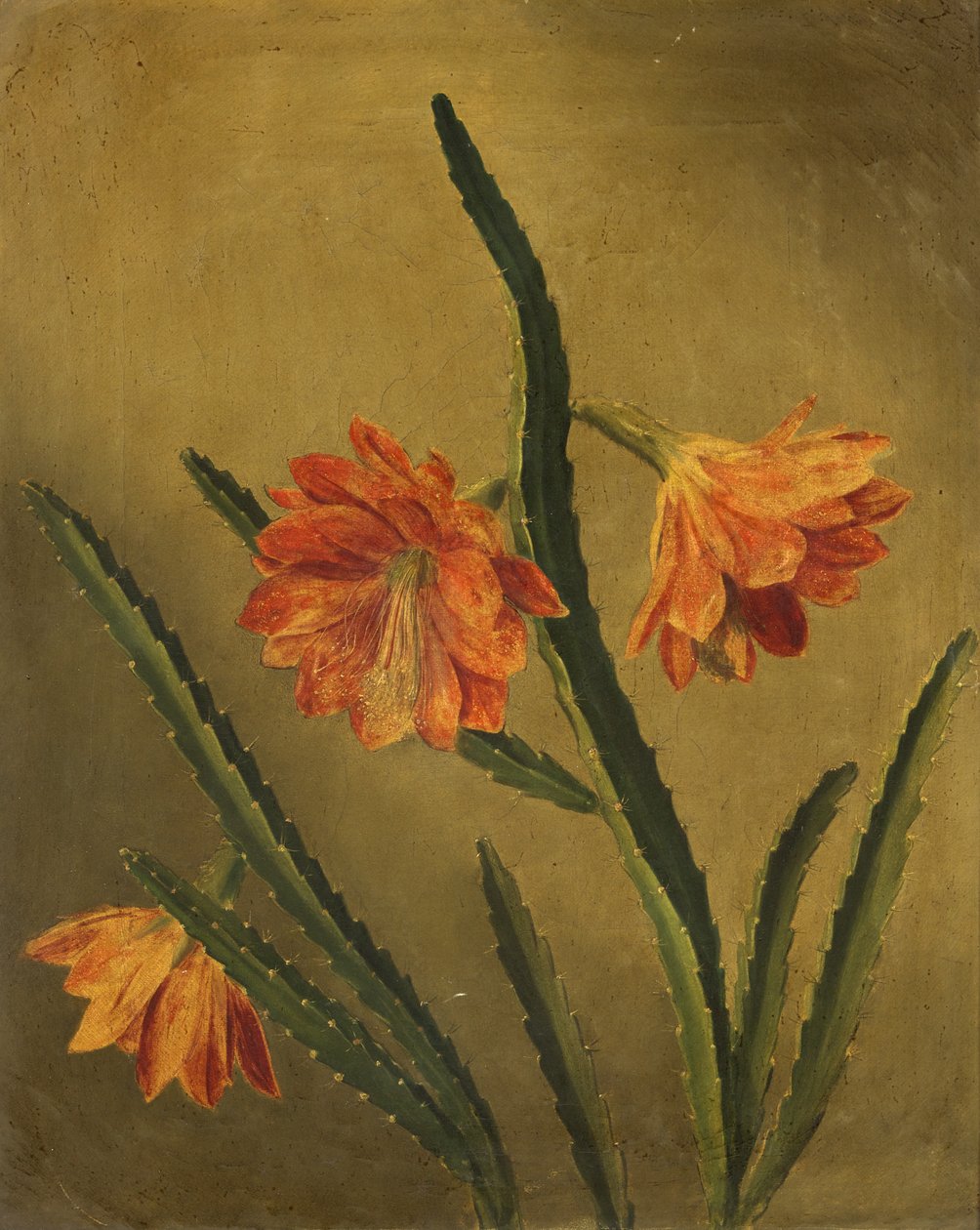 Studie von Blumen von Rolinda Sharples