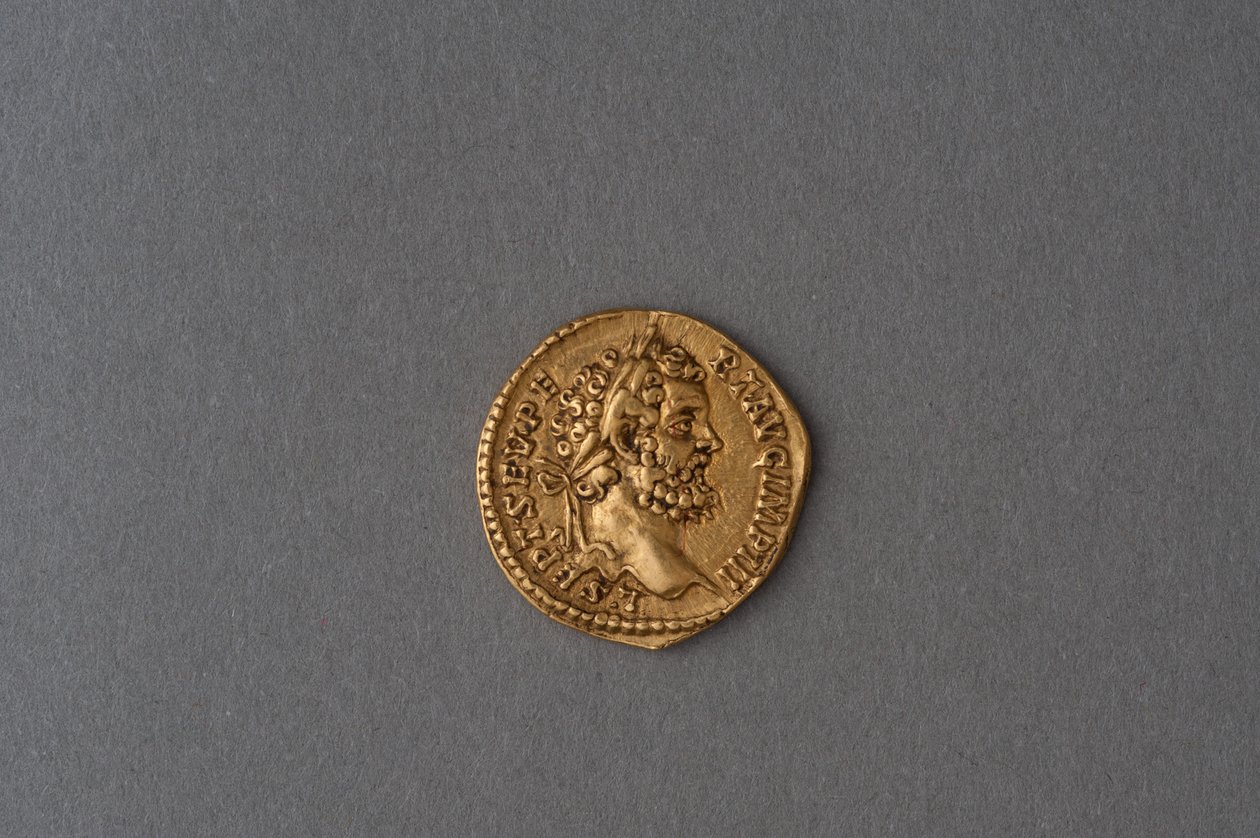 Aureus von Septimus Severus (Gold) von Roman