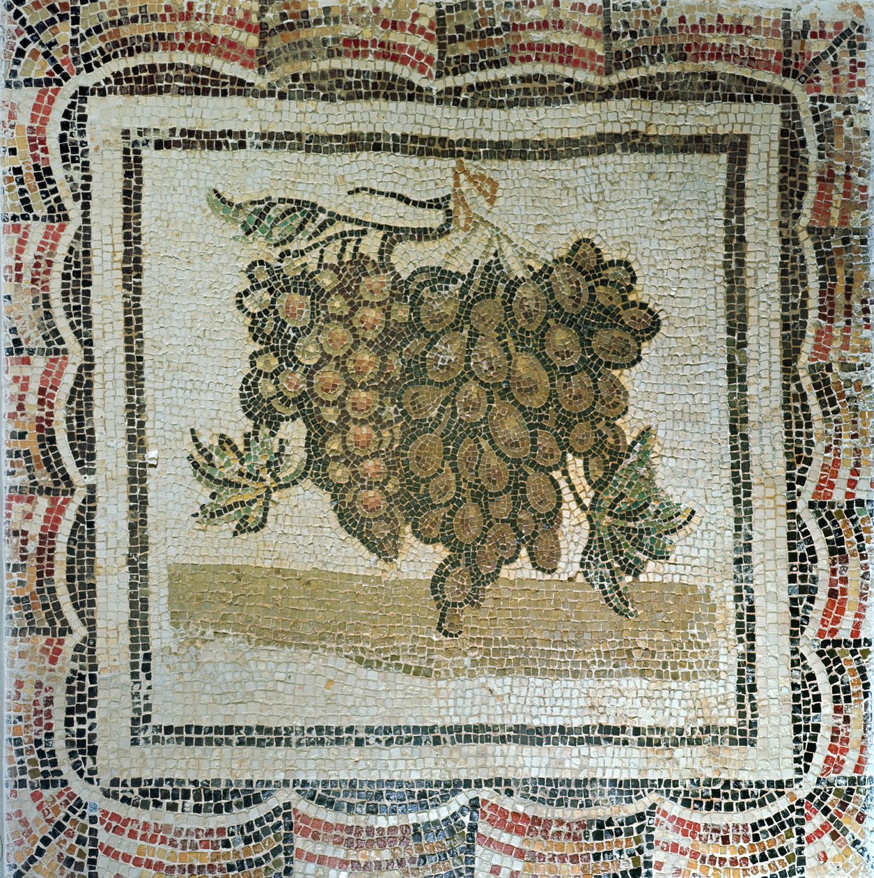Traubenbündel, römisches Mosaik (Mosaik) von Roman