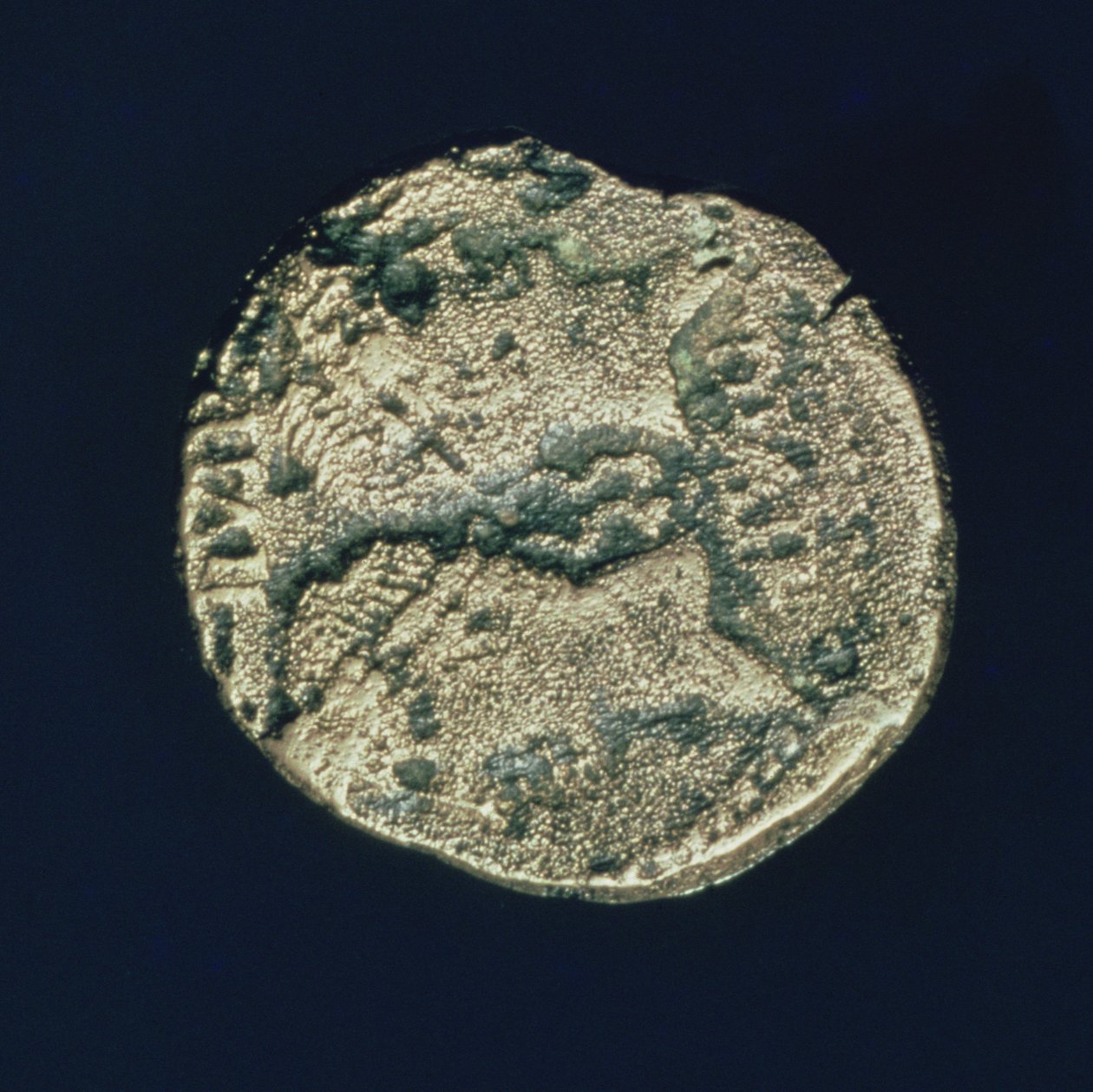 Münze mit den Köpfen von Julius Caesar (101-44 v. Chr.) und Augustus (63-14 v. Chr.) von Roman