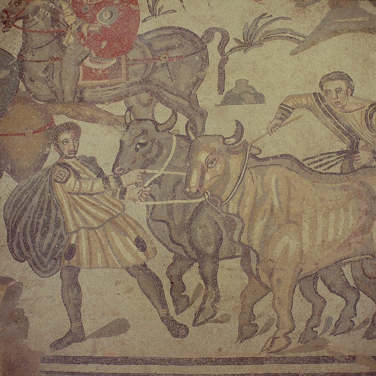 Ochsen, die Wasser transportieren, römisches Mosaik, frühes 4. Jahrhundert (Mosaik) von Roman
