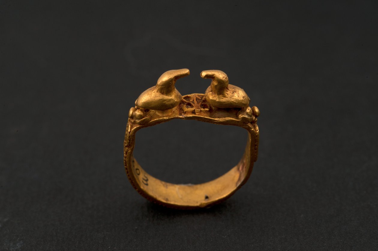 Ring mit zwei Enten (Gold) von Roman