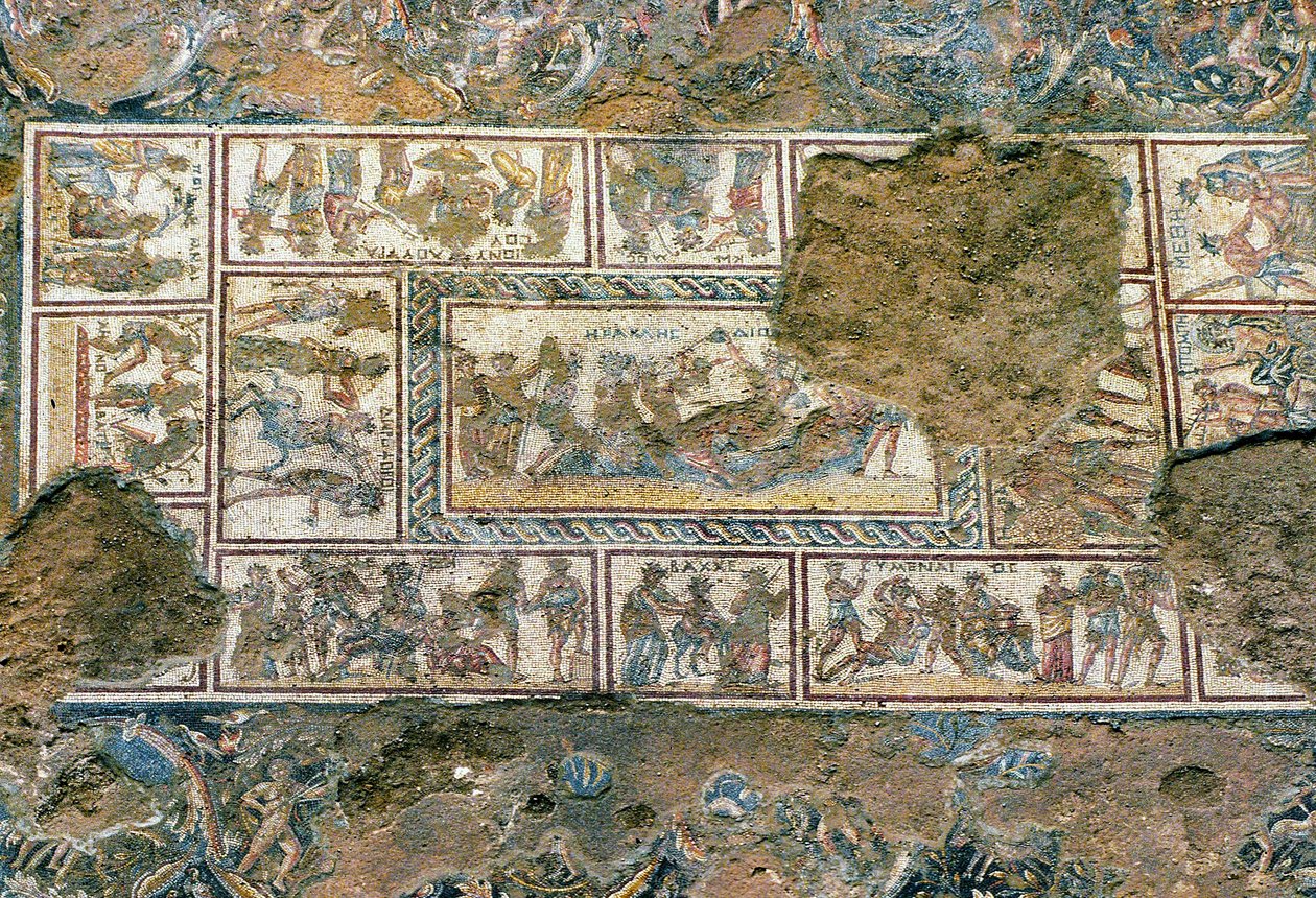 Sepphoris-Mosaik, Tzippori von Roman