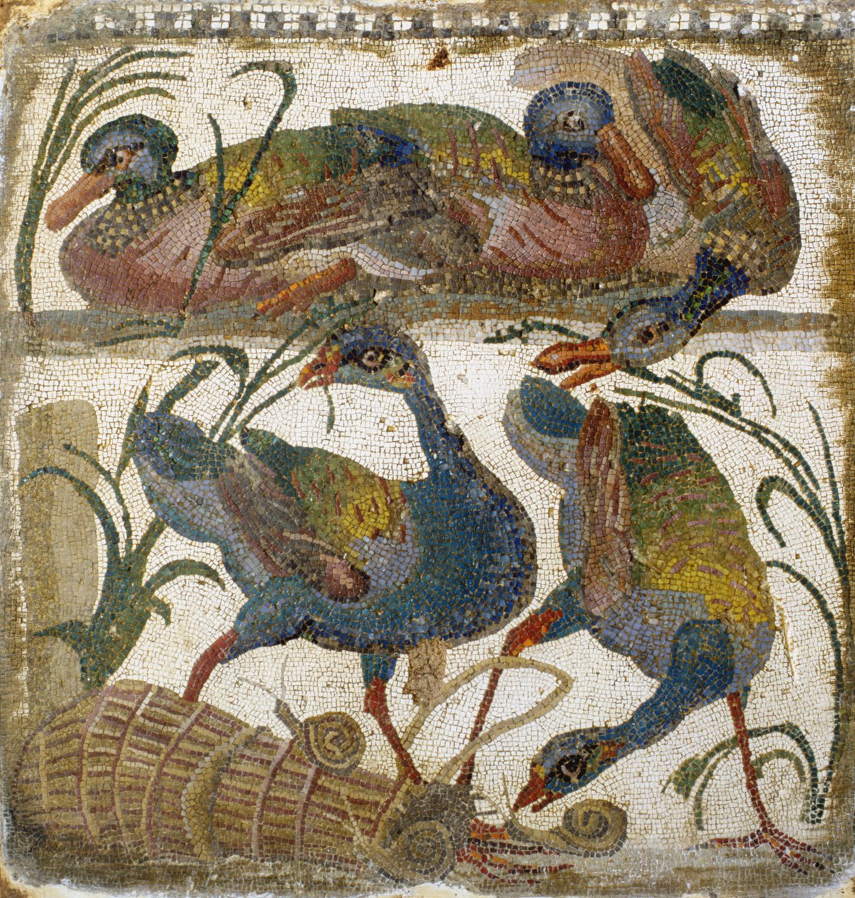Wasservögel (Mosaik) von Roman