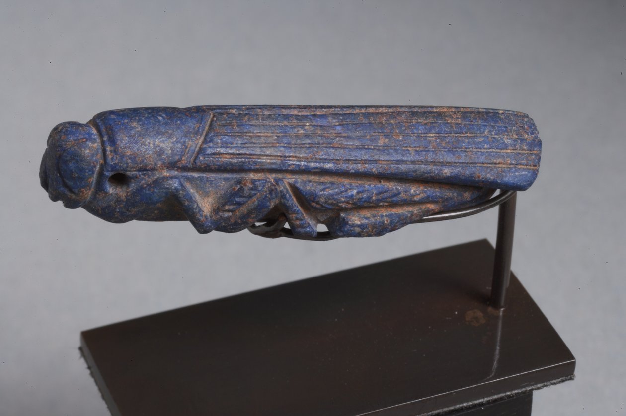 Vorderasiatischer Amulett eines Grashüpfers von Roman Imperial Period
