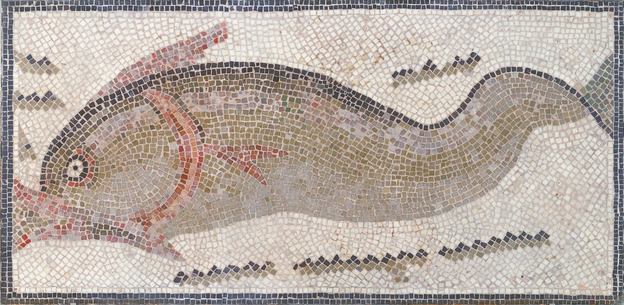 Delfin, aus Tunis, 3.-5. Jahrhundert n. Chr. von Roman Roman