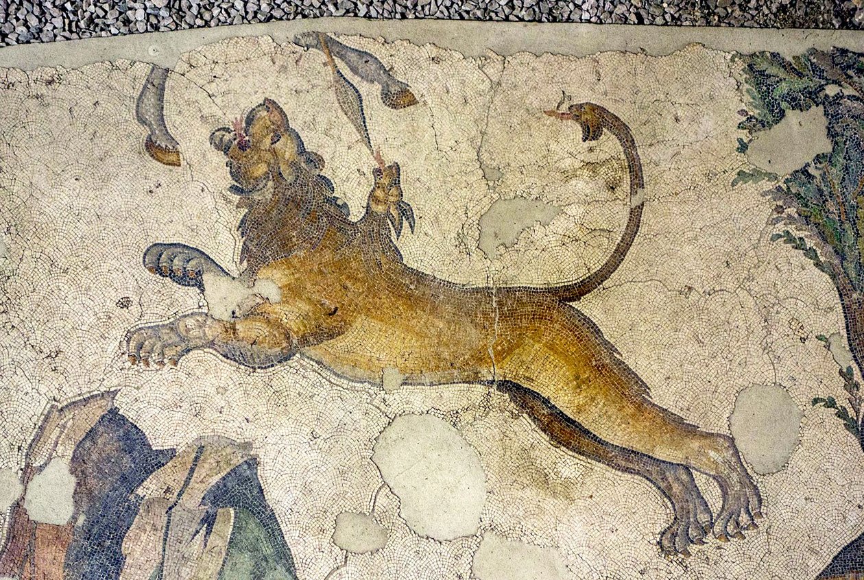 Unbekanntes Bild von Roman