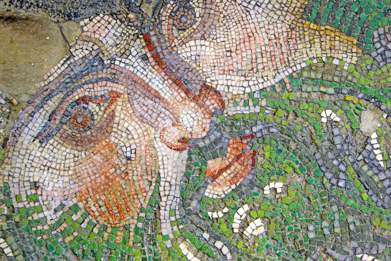 Unbekanntes Bild von Roman