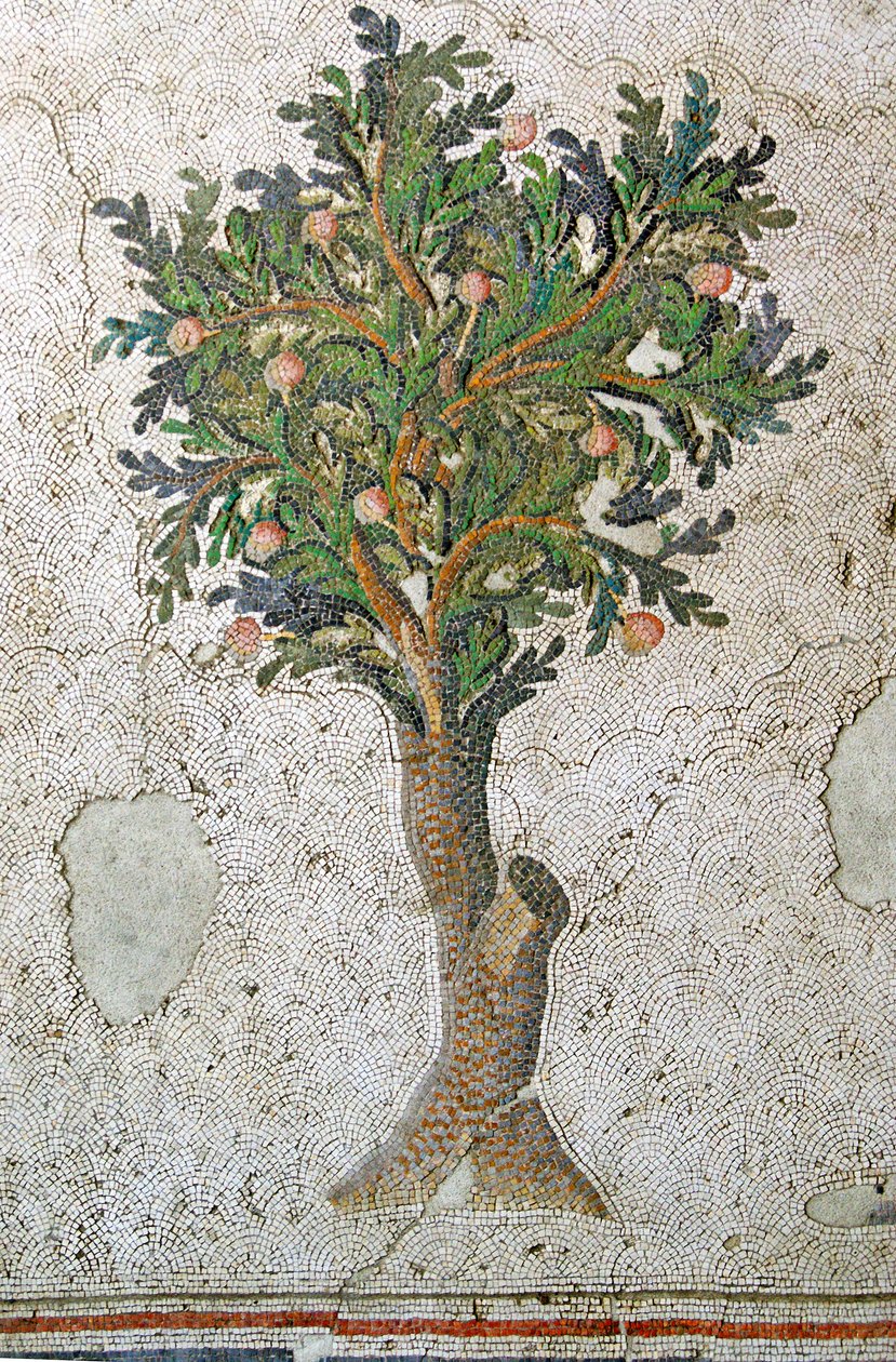 Unbekanntes Bild von Roman