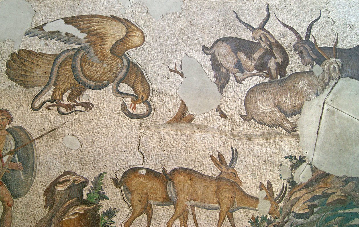 Unbekanntes Bild von Roman