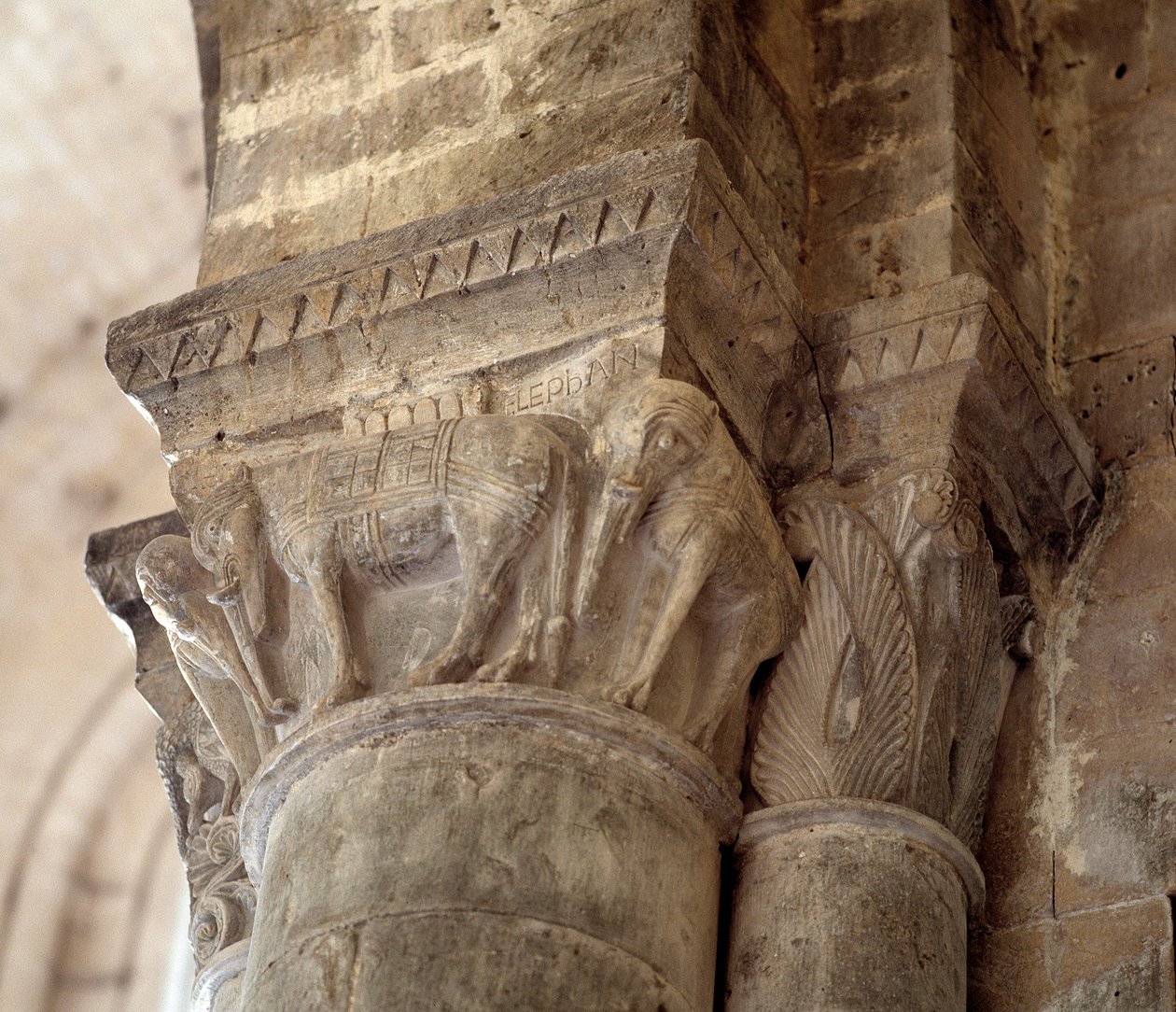 Elefanten (geschnitztes Kapital des Schiffs) von Romanesque
