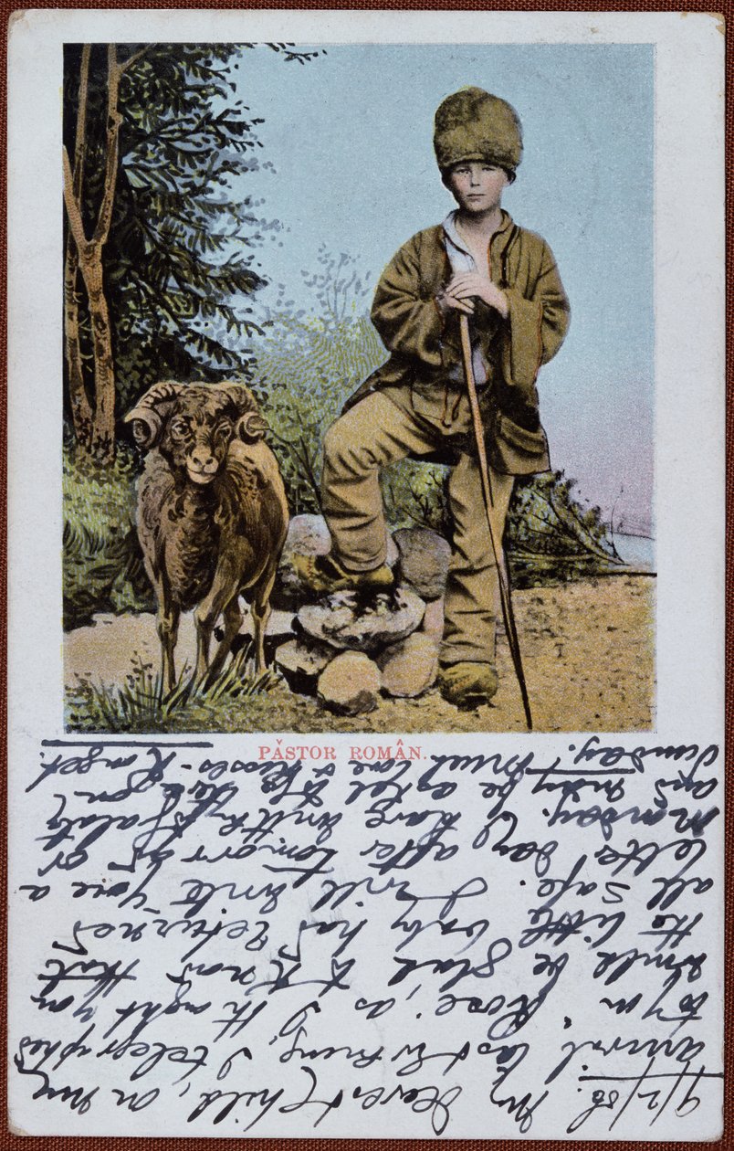 Postkarte, die einen rumänischen Schäferjungen darstellt, ca. 1906 von Romanian School