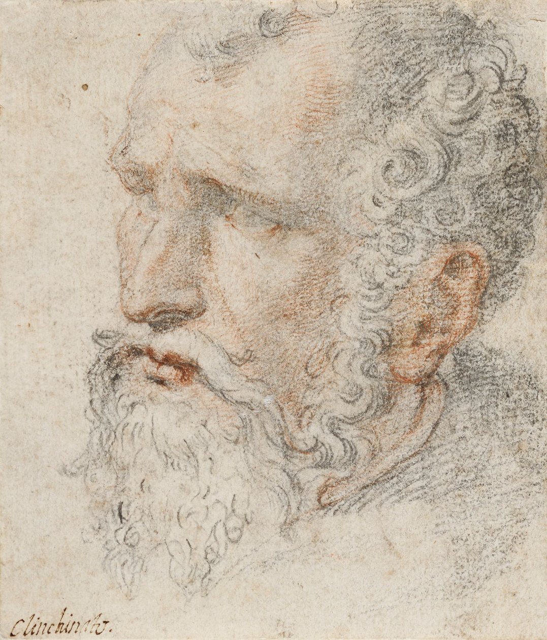 Kopf eines Mannes von Romulo Cincinato