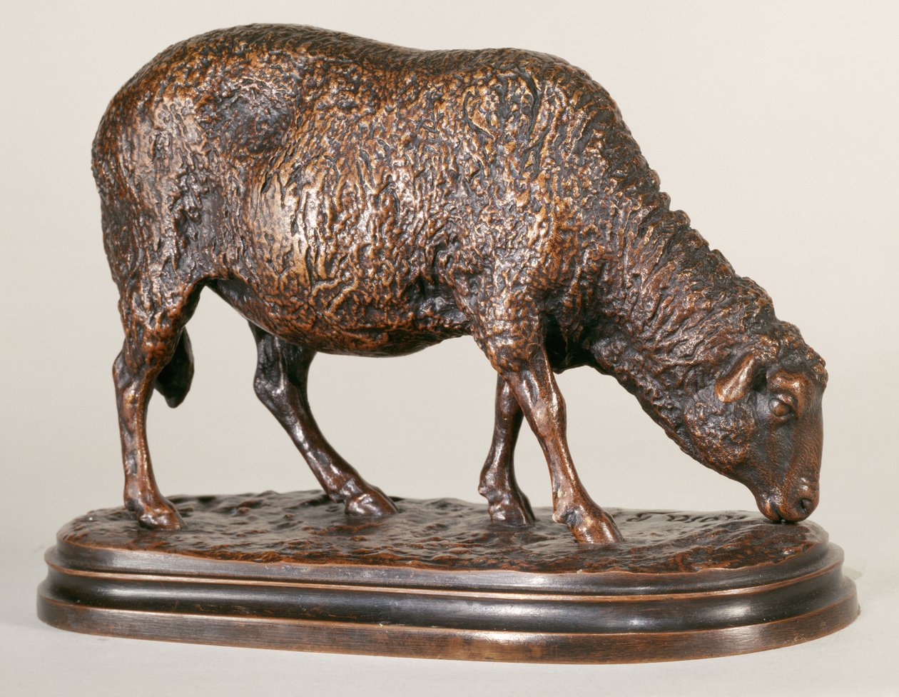 Ein weidendes Schaf von Rosa Bonheur