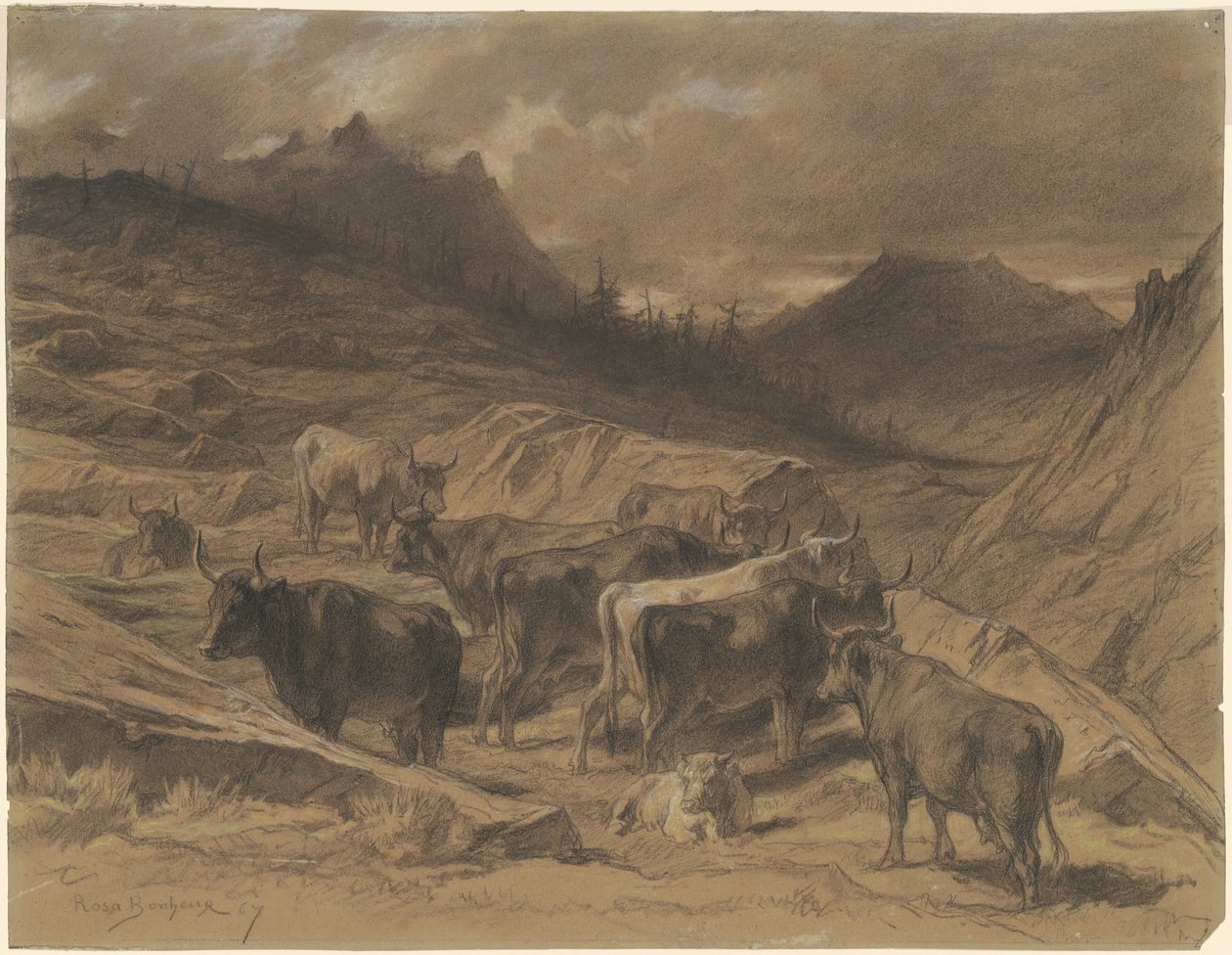 Rinder in der Auvergne von Rosa Bonheur