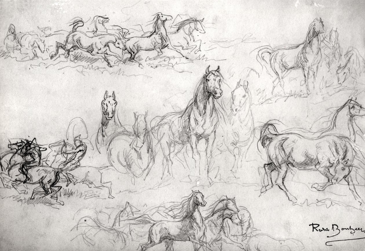 Studie von Pferden von Rosa Bonheur