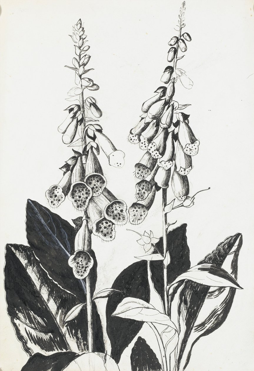 Fingerhüte von Rosalie Brill