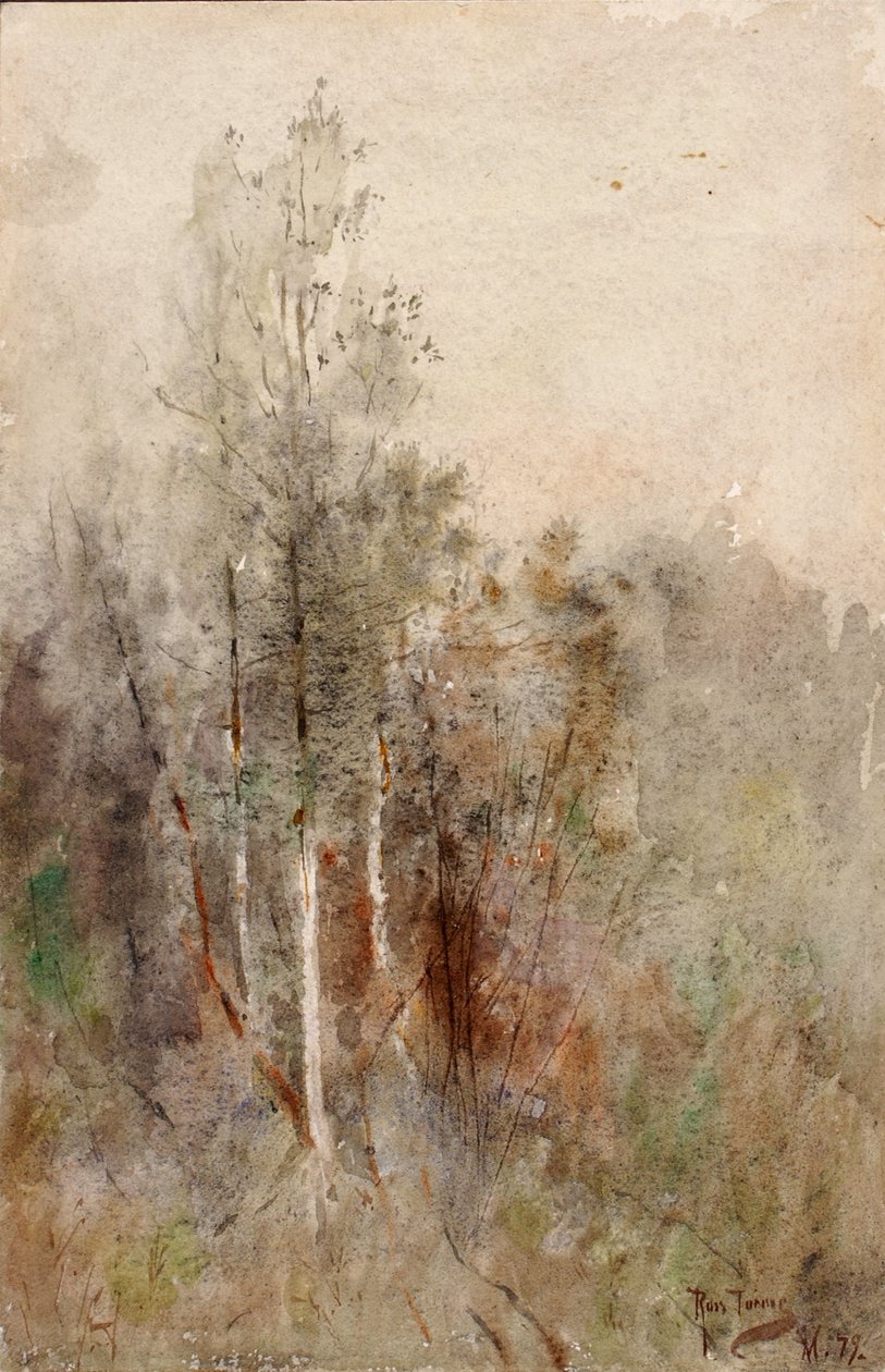 Baumstudie, 1879 von Ross Turner