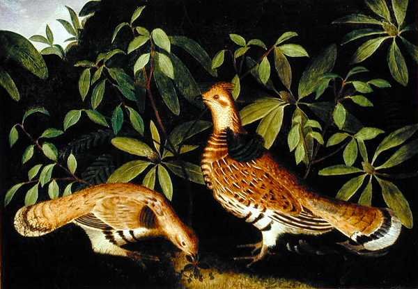 Zwei Raufußhühner im Unterholz von Rubens Peale