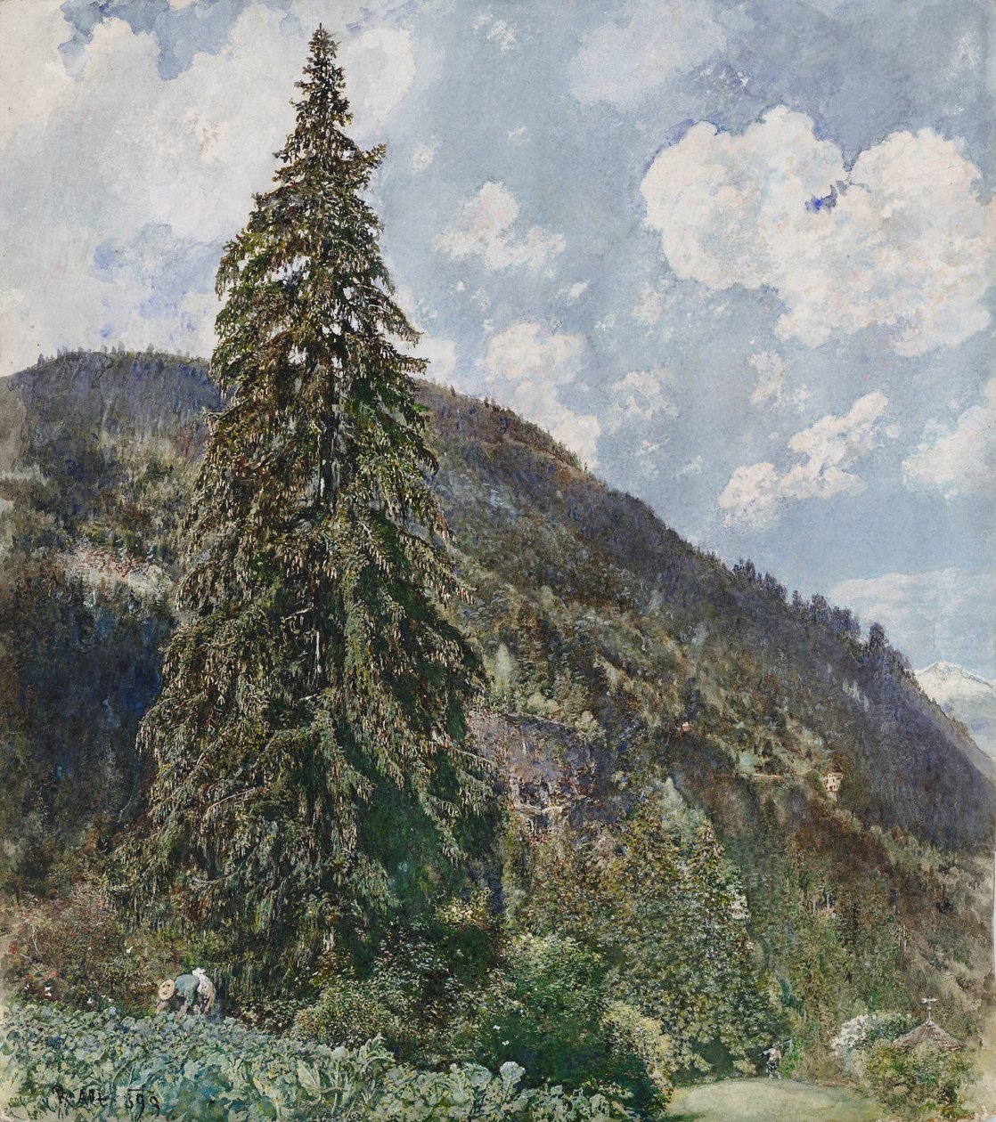 Die alte Fichte in Bad Gastein von Rudolf von Alt