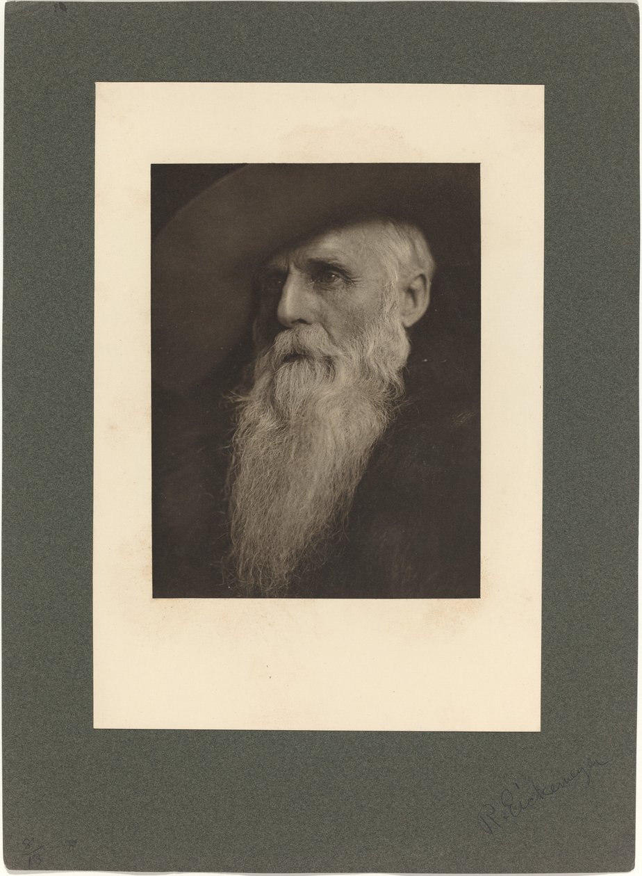 Der Rancher von Rudolf Eickemeyer Jnr
