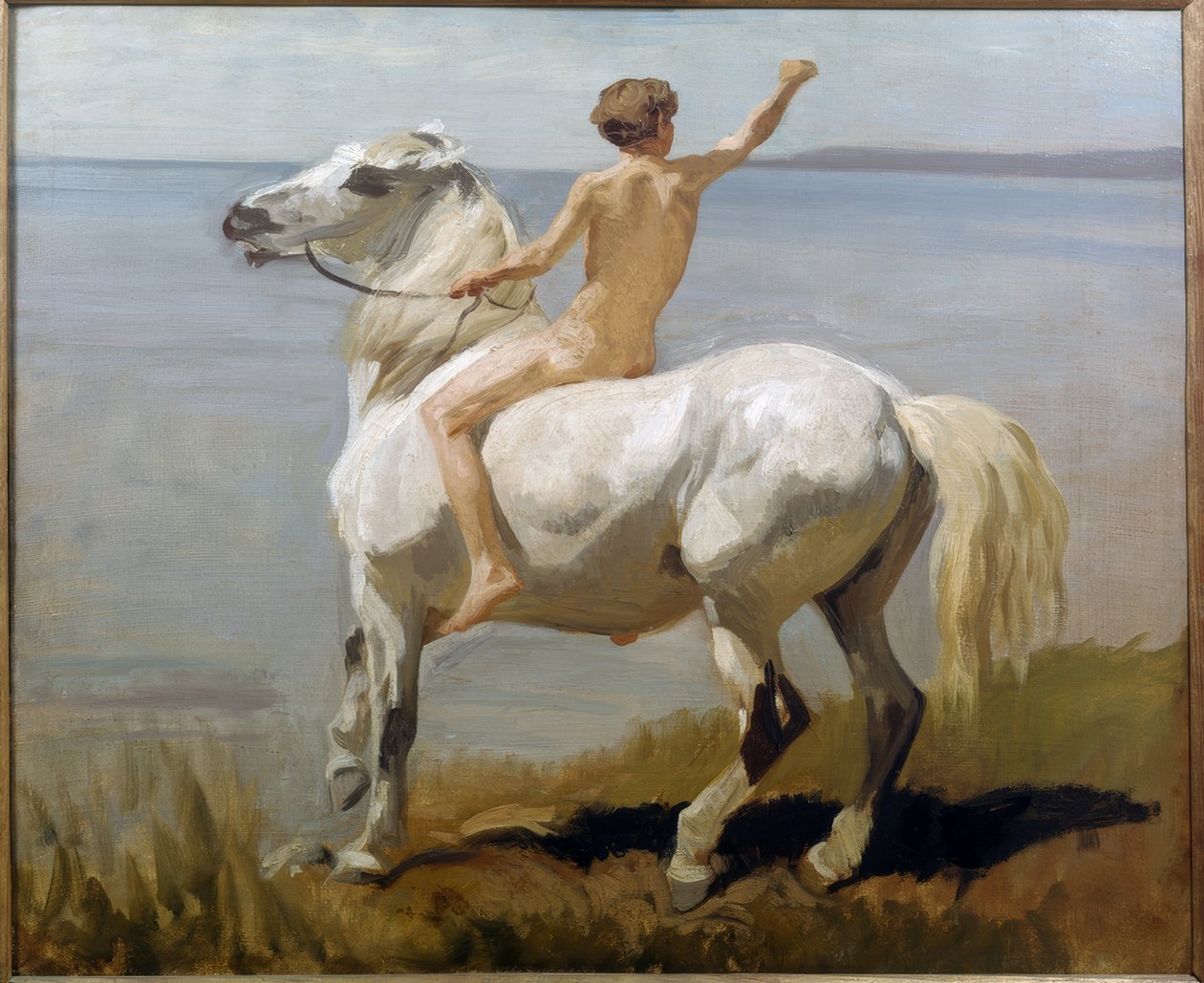 Junge auf einem weißen Pferd von Rudolf Koller